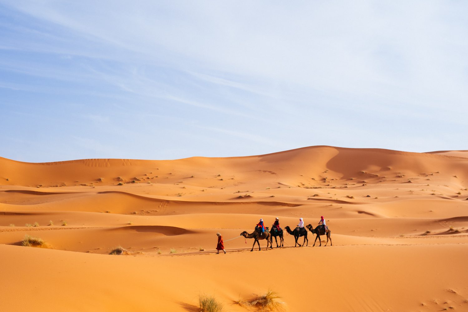 8-Day Morocco Tour From Casablanca