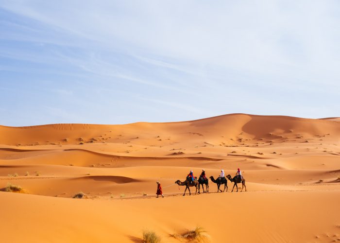 8-Day Morocco Tour From Casablanca