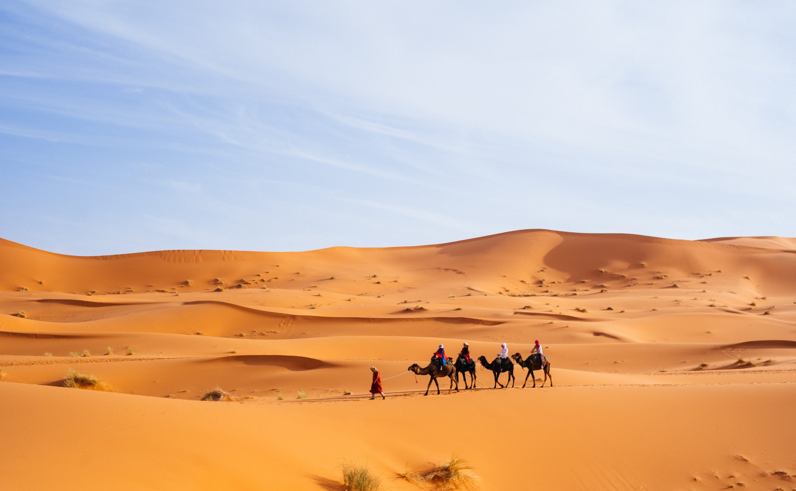 8-Day Morocco Tour From Casablanca