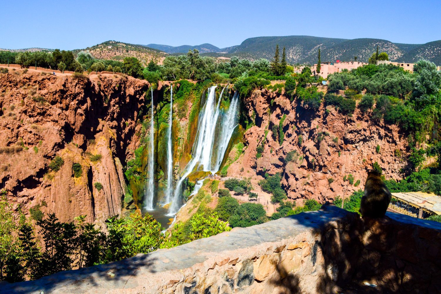 Day trip to Ouzoud Waterfalls