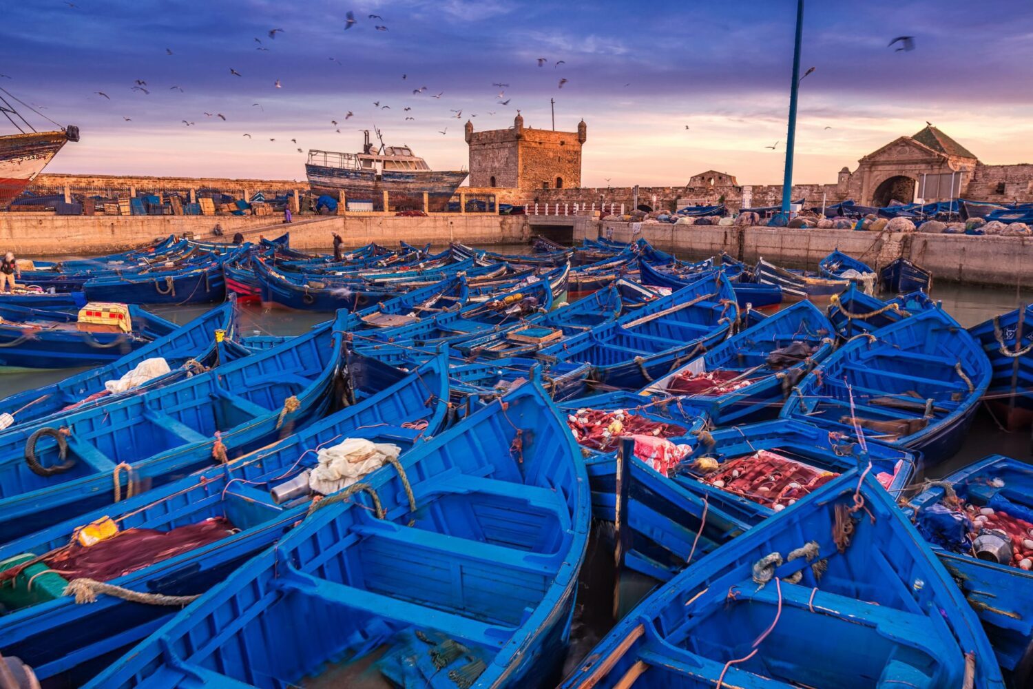 Excursion de un dia a Essaouira