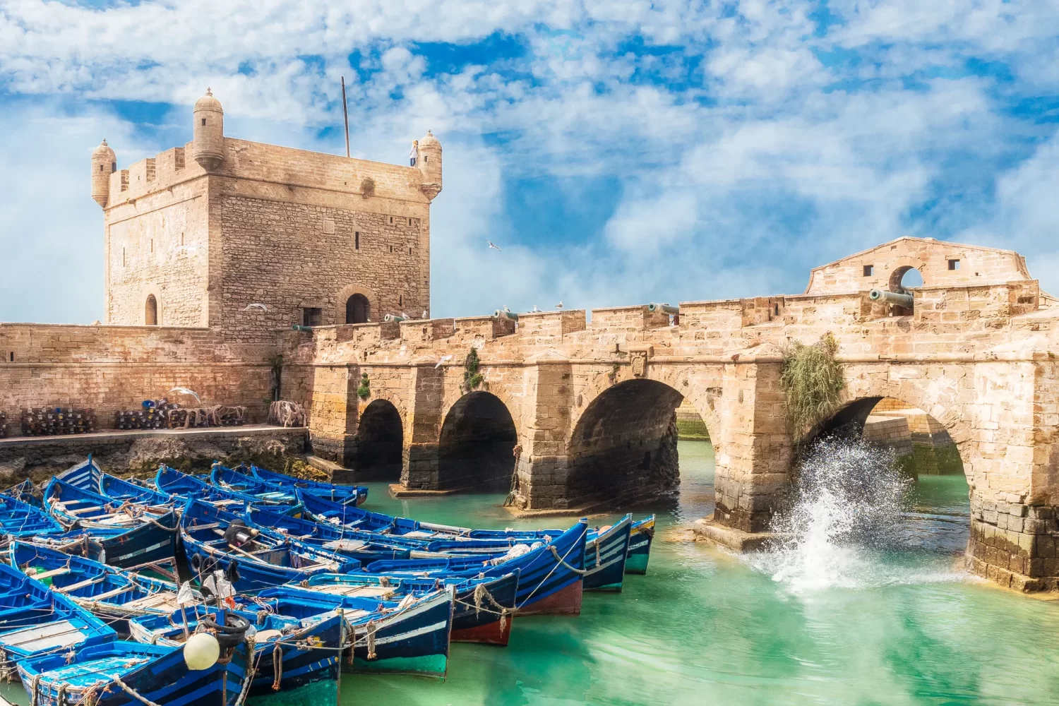 Excursion de un dia a Essaouira