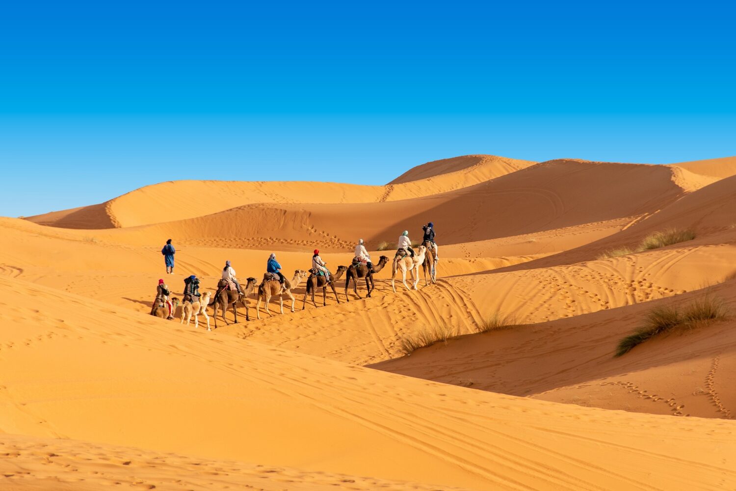 Ruta de 5 días por el desierto